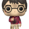 Harry Potter - Harry Potter Funko POP! #132