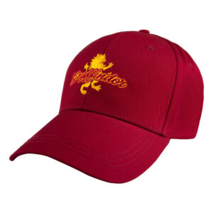 Harry Potter - Gryffindor Hat
