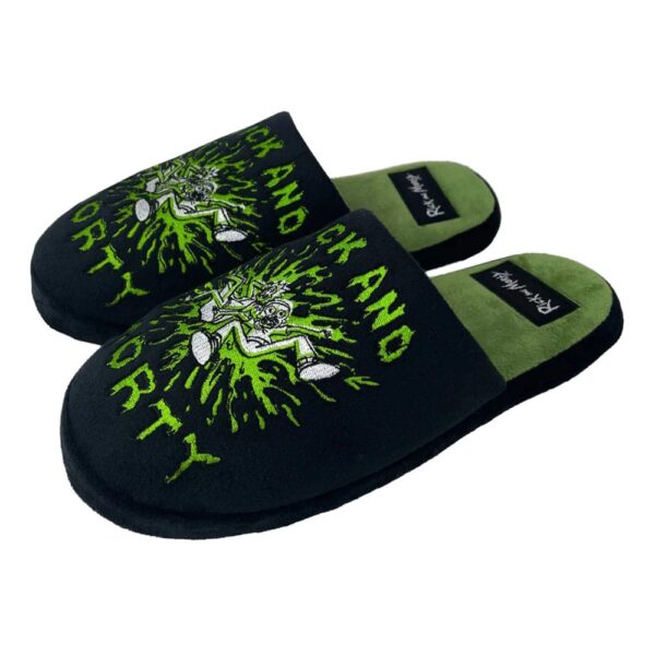 Rick and Morty Slippers