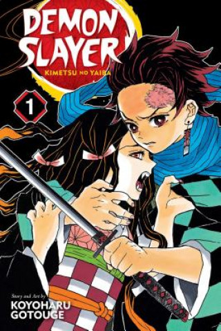 Demon Slayer: Kimetsu no Yaiba Vol. 1 Manga