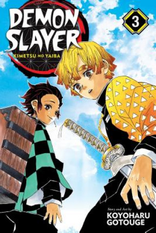 Demon Slayer: Kimetsu no Yaiba Vol. 3 Manga