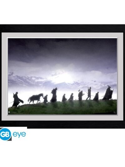 The Lord of the Rings: The Fellowship of the Ring Framed Print
