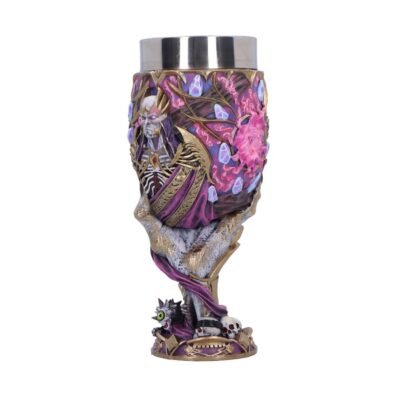 Nemesis Now: Dungeons & Dragons - Vecna Goblet (B7182C25)