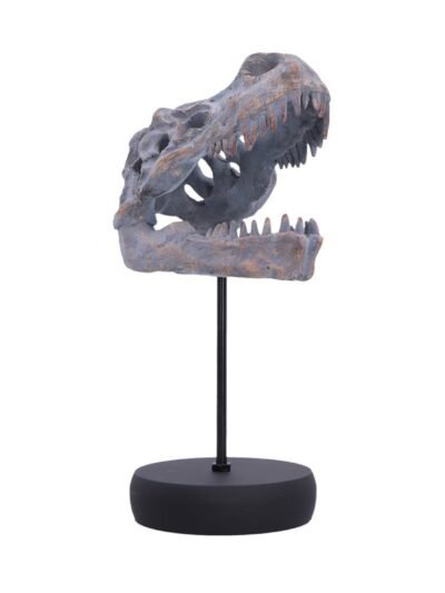 Nemesis Now: Tyrannosaurus Rex Skull on Plinth (D7553B26)