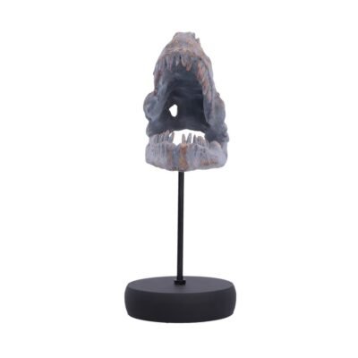 Nemesis Now: Tyrannosaurus Rex Skull on Plinth (D7553B26)